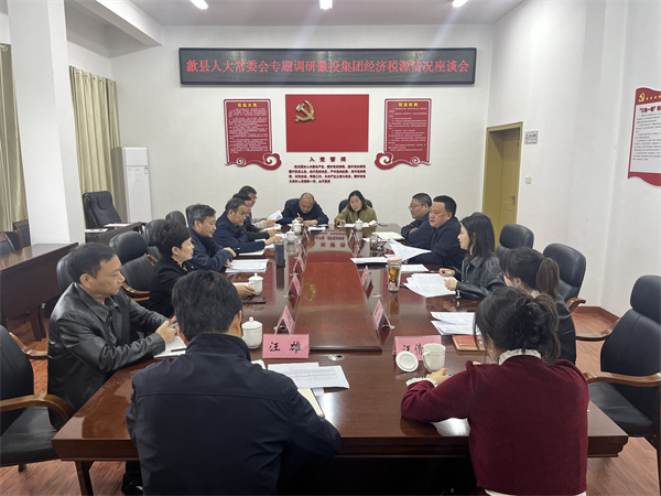 4月7日，縣人大常委會主任梅代軍帶隊專題調(diào)研徽投集團經(jīng)濟稅源情況，集團洪董、葉總、方總參加調(diào)研座談。.jpg