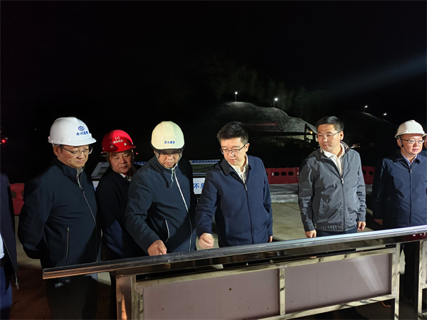 10月31日，汪凱書記，王奇勇縣長，洪董陪同何毅市長一行督導防洪工程項目.jpg
