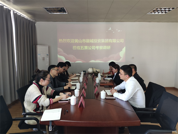 4月21日，集團(tuán)黨委委員、常務(wù)副總經(jīng)理，公司董事長兼總經(jīng)理方亮帶隊(duì)赴黟縣考察“黟品五黑”區(qū)域公用品牌運(yùn)營推廣機(jī)制和“五黑”農(nóng)業(yè)特色產(chǎn)業(yè)發(fā)展情況.jpg