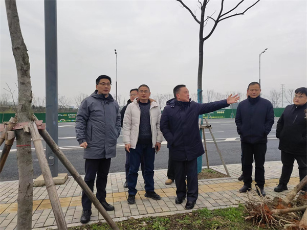 2月14日，洪董陪同王奇勇縣長一行督導衛(wèi)拍地塊.jpg