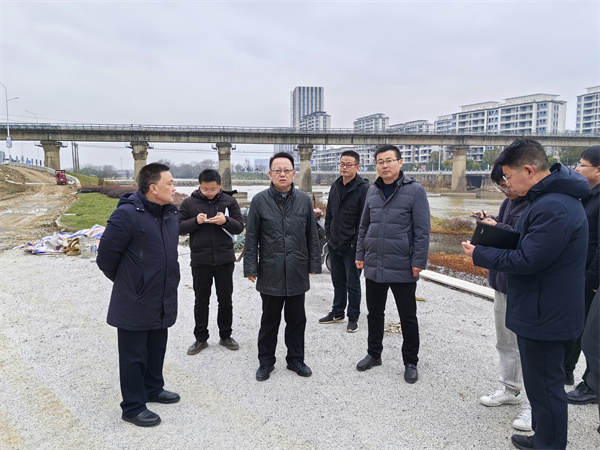 1月20日，汪凱書記到豐樂河環(huán)境整治項目進(jìn)行調(diào)研，洪董、張總陪同1。.jpg