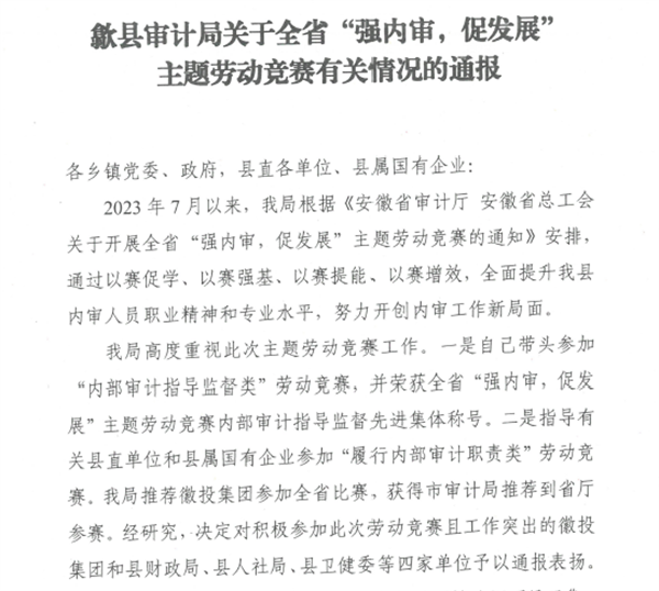 強(qiáng)內(nèi)審、促發(fā)展.png
